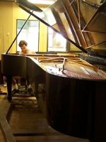 Watch Note by Note: The Making of Steinway L1037 Online Alluc