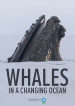 Watch Whales in a Changing Ocean (Short 2021) Alluc