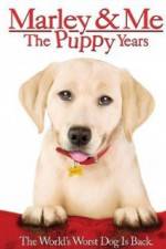 Watch Marley and Me The Puppy Years Alluc