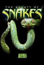 Watch Beauty of Snakes Online Alluc
