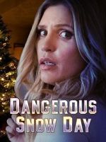 Watch Dangerous Snow Day Online Alluc