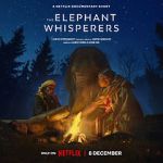 Watch The Elephant Whisperers (Short 2022) Online Alluc