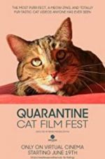 Watch Quarantine Cat Film Fest Online Alluc