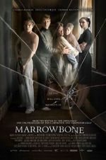 Watch The Secret of Marrowbone Alluc