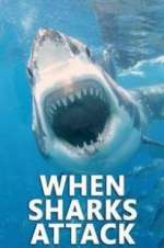 Watch When Sharks Attack Alluc