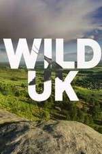 Watch Wild UK Alluc