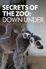 Watch Secrets of the Zoo: Down Under Alluc