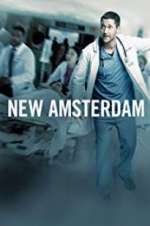 Watch New Amsterdam Alluc