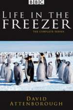 Watch Life in the Freezer Alluc