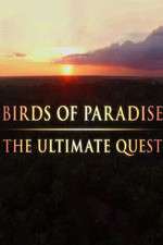Watch Birds of Paradise: The Ultimate Quest Alluc