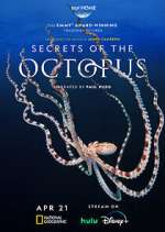 Secrets of the Octopus alluc