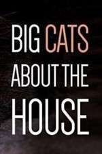 Watch Big Cats About the House Alluc