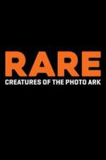 Watch Rare: Creatures of the Photo Ark Alluc