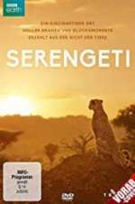 Watch Serengeti Alluc