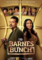 Watch Alluc The Barnes Bunch Online