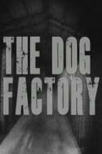 Watch Alluc The Dog Factory Online