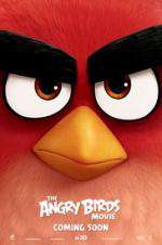 Watch Angry Birds Alluc