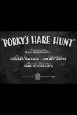 Watch Porky\'s Hare Hunt Alluc