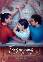 Watch Tersanjung: The Movie Alluc