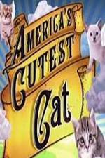 Watch America's Cutest Cat Alluc