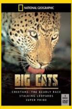 Watch National Geographic: Living With Big Cats Alluc