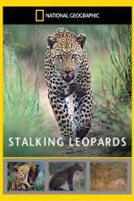 Watch National Geographic: Stalking Leopards Alluc