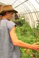 Watch Green House Seeds Strain Hunters India Expedition Alluc