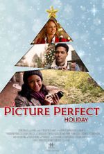 Watch A Picture Perfect Holiday Alluc
