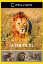 Watch National Geographic: Super Pride Africa\'s Largest Lion Pride Alluc