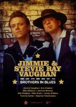Watch Jimmie and Stevie Ray Vaughan: Brothers in Blues Alluc