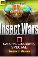 Watch National Geographic Insect Wars Alluc