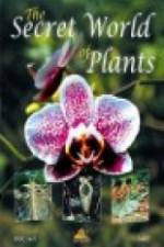 Watch The Secret World of Plants Alluc