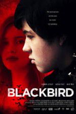 Watch Blackbird Alluc