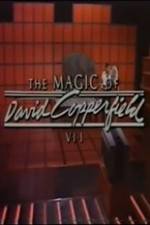 Watch The Magic of David Copperfield VII Familares Alluc