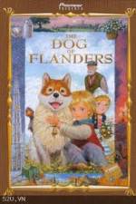 Watch The Dog of Flanders Alluc