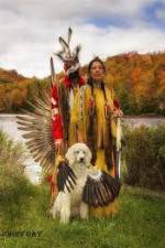 Watch America's First Nations Online Alluc