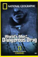 Watch Worlds Most Dangerous Drug Alluc