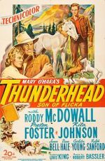 Watch Thunderhead: Son of Flicka Alluc