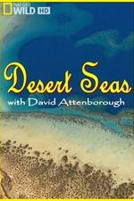 Watch Desert Seas Alluc
