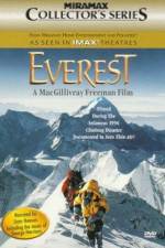 Watch Everest Alluc