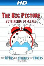 Watch The Big Picture Rethinking Dyslexia Alluc