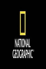 Watch National Geographic Wild Animal Attacks On Vacation Alluc