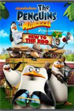 Watch Penguins of Madagascar New to the Zoo Alluc