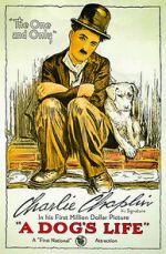 Watch A Dog's Life (Short 1918) Alluc