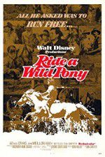 Watch Ride a Wild Pony Alluc