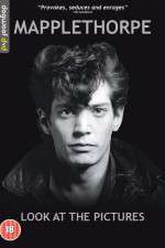 Watch Mapplethorpe: Look at the Pictures Alluc