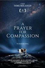 Watch A Prayer for Compassion Online Alluc