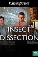 Watch Insect Dissection: How Insects Work Alluc