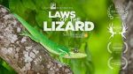 Watch Laws of the Lizard Alluc