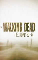 Watch The Walking Dead: The Journey So Far Alluc